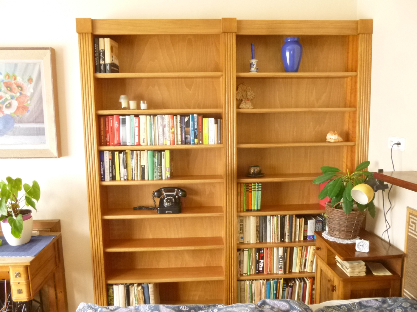 Moderní knihovna s několika policemi